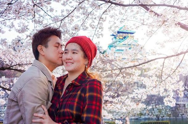 浪漫的亚洲人爱好者接吻的采用樱桃花季节