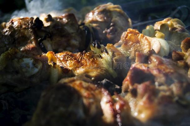 准备关于希什河烤腌羊肉串从鸡肉采用指已提到的人烧烤
