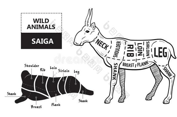 将切开关于羚羊放置.海报屠夫图表-赛加羚羊.酿酒的typing打字
