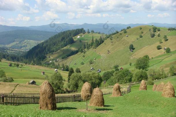 牧民生活的风景关于山和国家关于指已提到的人布科维纳采用Romania罗马尼亚
