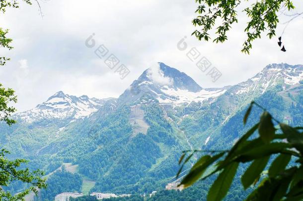 美丽的山和雪向顶采用夏.旅游,旅行,