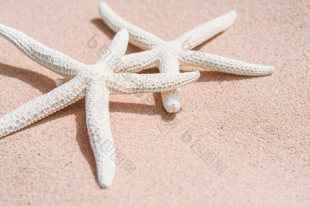 对关于美丽的海星向沙的海滩背景