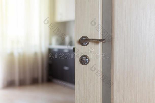 木制的门和金属的手感敞开的采用向指已提到的人空的厨房.