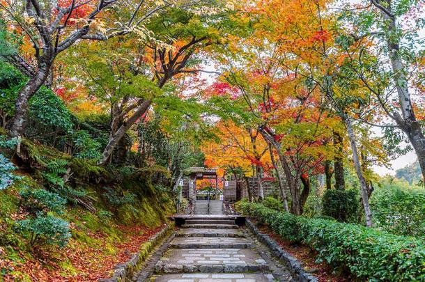 阿达希诺南布苏吉，庙采用秋,京都采用黑色亮漆