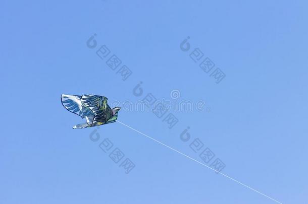 一鸽子风筝飞行的一g一inst一蓝色天