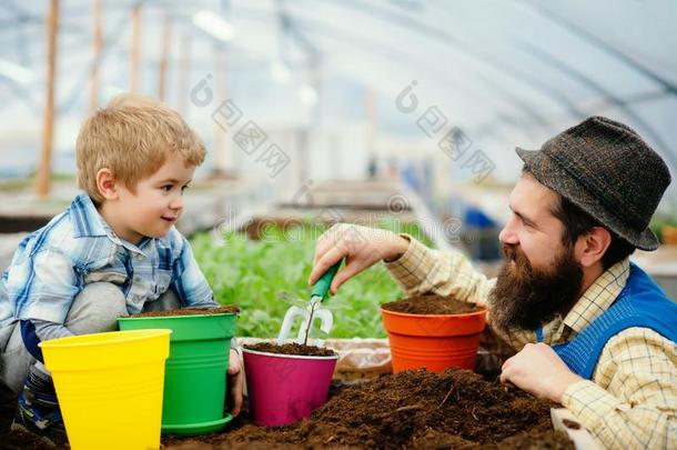 温室和花园玻璃房屋衣物和装备.小孩为economy经济.个人简历绿色的