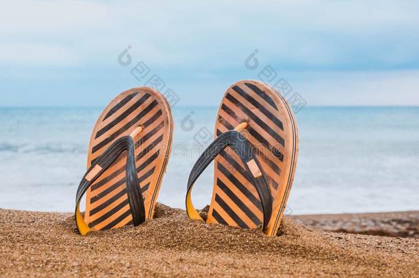 夏鞋子向指已提到的人海滩4