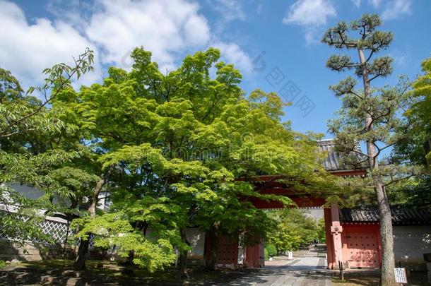新尼-aux.构成疑问句和否定句庙关于新鲜的青翠的草木,京都,黑色亮漆