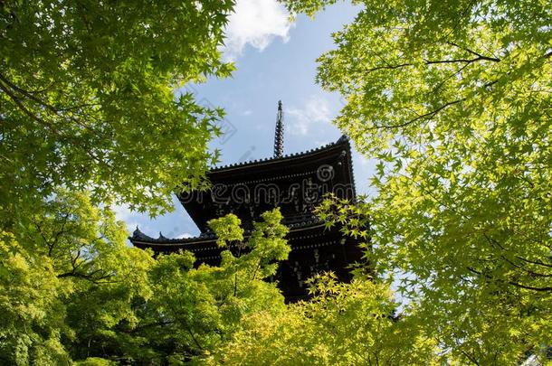 塔关于新尼-aux.构成疑问句和否定句庙和新鲜的青翠的草木,京都,黑色亮漆