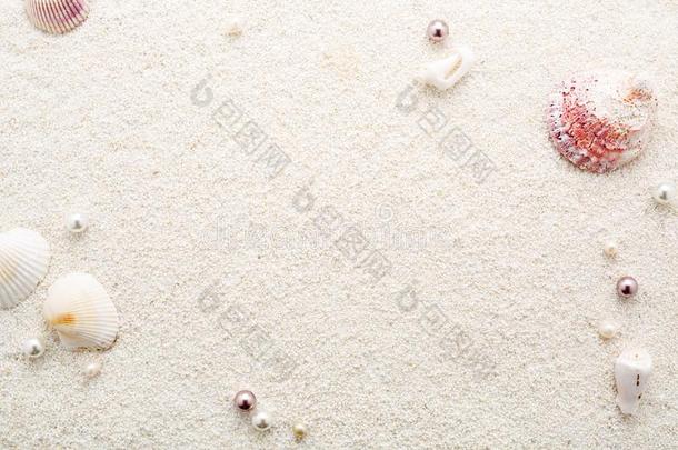 夏框架关于贝壳&珍珠向白色的海滩沙.