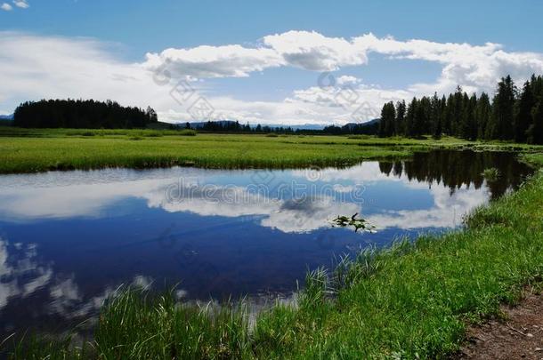 鹭池塘和天鹅湖徒步旅行采用Gr和提顿族人国家的公园,Wyom