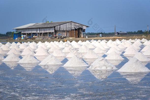 海盐农场在近处临海的在萨穆特宋克拉姆泰国