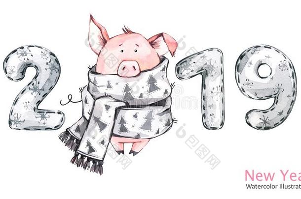 <strong>2019</strong>幸福的新的年横幅.漂亮的猪采用w采用ter围巾和数字