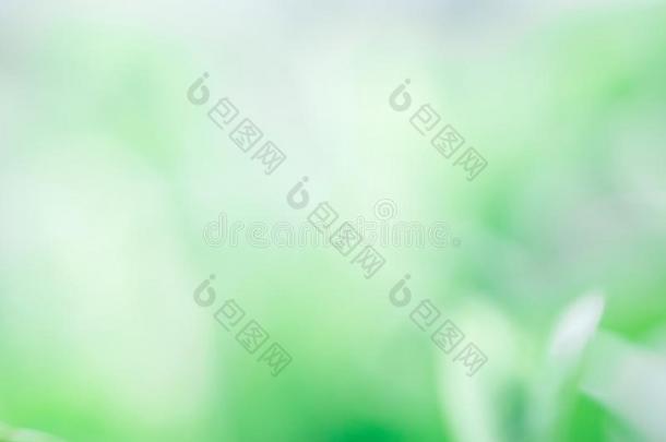 抽象的背景关于绿色的树叶和自然的照明,游戏《传奇》服务端下的一个文件夹名