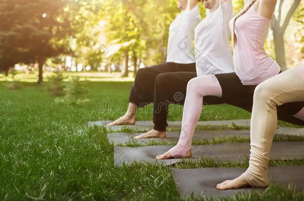 组关于人开业的瑜伽采用公园