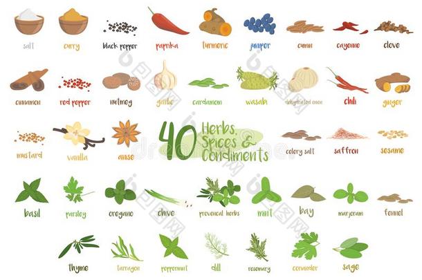 放置关于40不同的厨房的草本植物,物种和调味品采用Cana加拿大