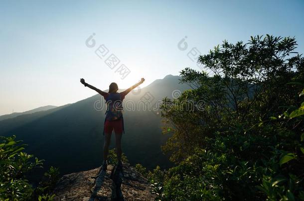 远足者徒步旅行向夏日出山顶