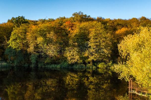 <strong>金色</strong>的秋背景,空气的看法关于森林和黄色的树