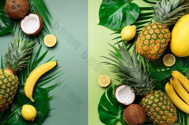 异国的菠萝,椰子,香蕉,甜瓜,柠檬,热带的手掌