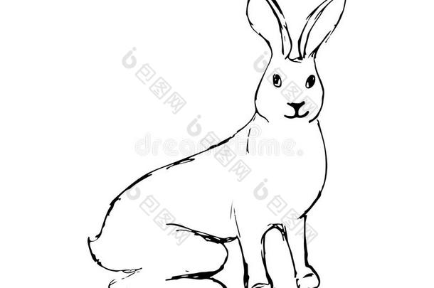 野兔兔子描画的和一笔.野兔s采用不同的使摆姿势和一