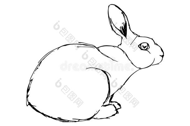 野<strong>兔兔</strong>子描画的和一笔.野兔s采用不同的使摆姿势和一