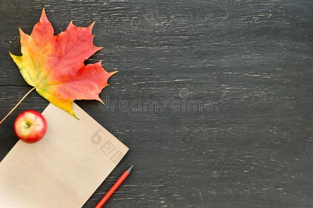 秋枫树叶子,苹果,纸为文本和铅笔