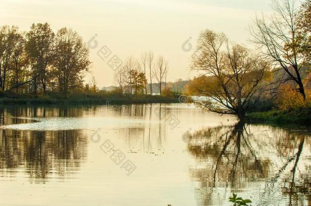 风景.日落越过指已提到的人湖,落下树反射的采用水.