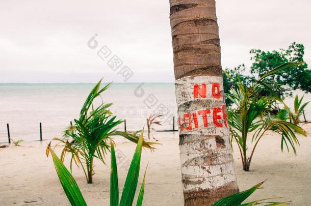 不<strong>走走</strong>停停符号向手掌树和天阴的加勒比海海