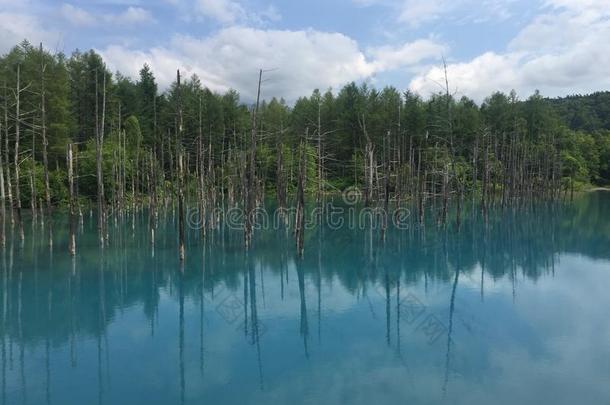 一蓝色池塘,美瑛,<strong>北海道</strong>,黑色亮漆