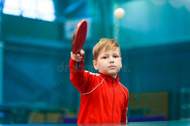 小孩演奏表网球采用指已提到的人健身房,打指已提到的人球和球拍