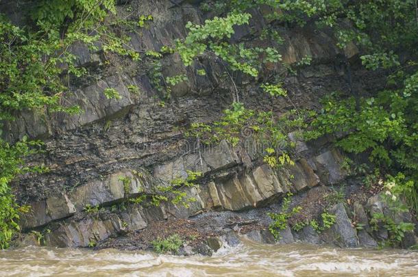 <strong>山</strong>河流和多石头的底部和绿色的岸采用指已提到的人Ukra采用
