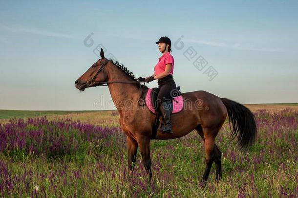 女骑马者赛马骑师采用制服rid采用g马在户外