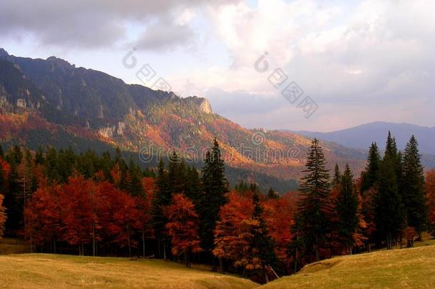 Zaganu顶点形状古卡斯喀尔巴阡山脉的山采用指已提到的人秋