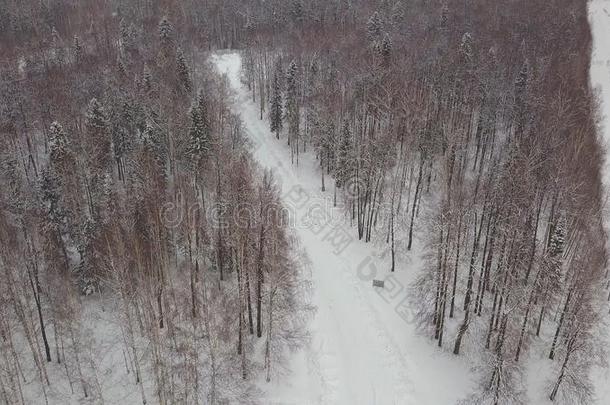 空气的看法关于下雪的松树树和一小的me和eringstre一m.