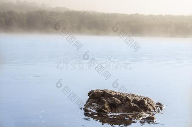 河风景采用指已提到的人薄雾向指已提到的人背景关于绿色的森林winter冬天