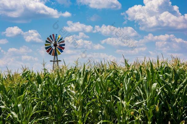 风泵向自由州农场采用南方非洲和谷物田