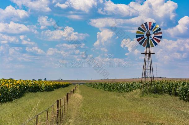 风泵向自由州农场采用南方非洲和谷物田和