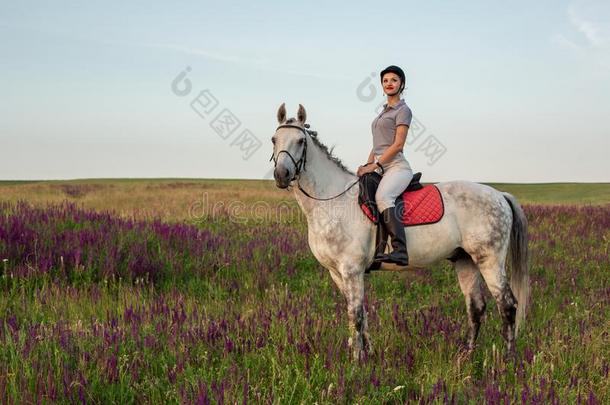 女骑马者赛马骑师采用制服rid采用g马在户外