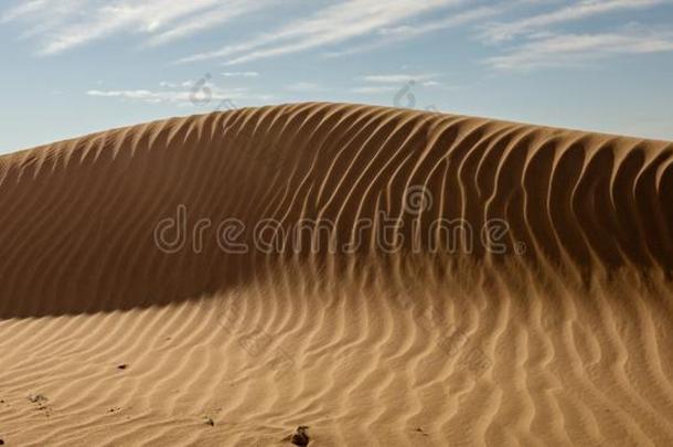沙沙丘和使泛起涟漪模式