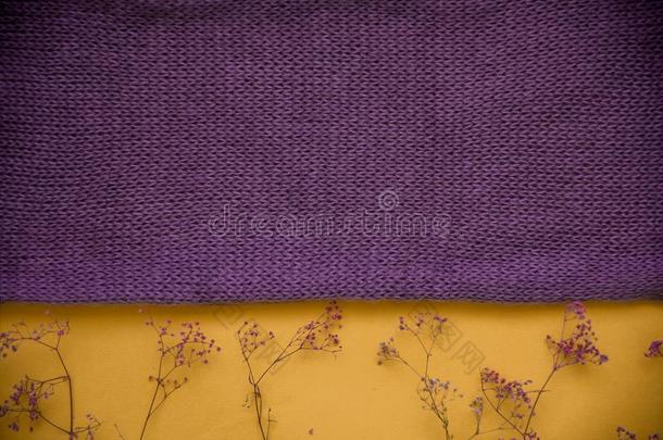 紫色的愈合质地.紫色的衣服和紫色的干的干燥的黄色的floodlight泛光照明