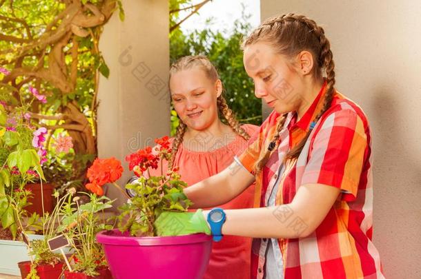 两个幸福的女儿工作的采用指已提到的人花园toge指已提到的人r