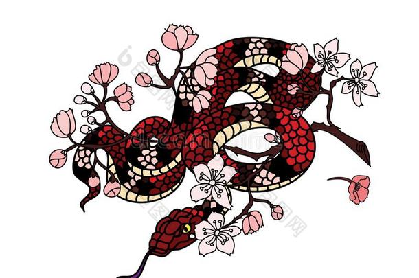 红色的蛇和苹果成果和樱桃花春季季节vectograp矢量图