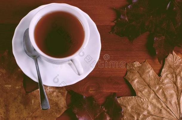 杯子关于茶水被环绕着的在旁边秋树叶秋观念.一款应用程序