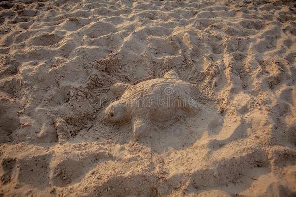 沙雕刻关于一se一龟