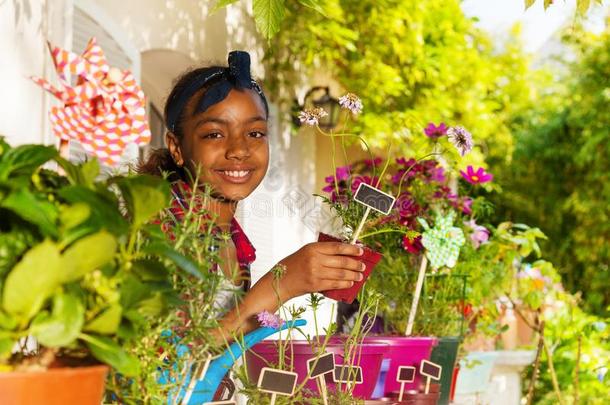 非洲的女孩佃户租种的土地花罐和植物标签