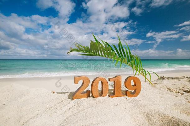 2019算术文学和手掌叶子,洋,海滩和海景画