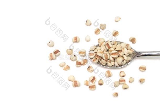 中国人珍珠大麦向白色的背景