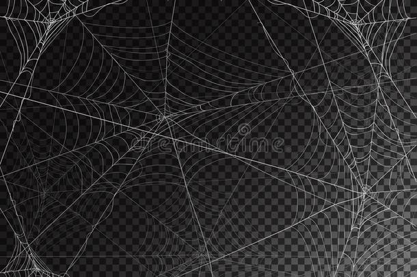 黑的透明的背景为万圣节前夕和蜘蛛网