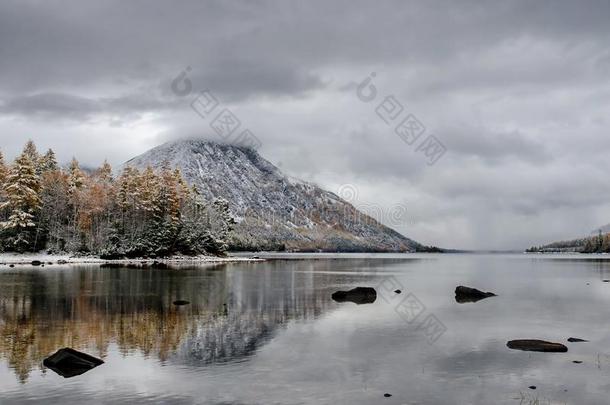 山湖从吃,松树树和石头和雪在镜子