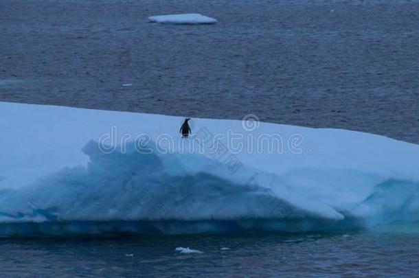 一孤单的企鹅向一厚片关于冰从落下指已提到的人Co一st关于一nt一rctic一